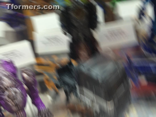 Botcon 2014 Hasbro Booth Age Of Extinction Display  (38 of 153)